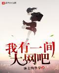 我有一间大网吧
