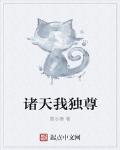诸天我独尊