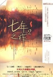 七年之痒2