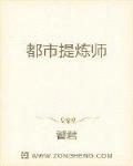 都市提炼师