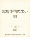 宠物小精灵之小明