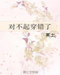 对不起穿错了