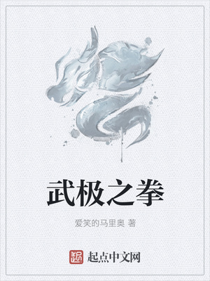 武极之拳