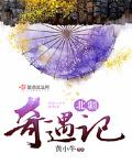 北疆奇遇记