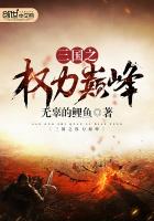 三国之权力巅峰