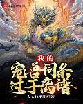 我的宠兽词条过于离谱