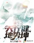 重生之天行健地势坤