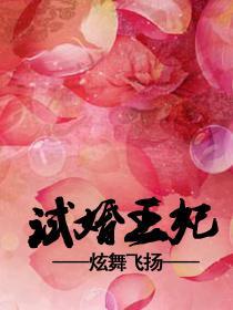 试婚王妃