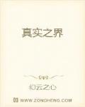 真实之界