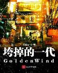 垮掉的一代GoldenWind