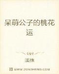 呆萌公子的桃花运