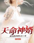 天命神婿