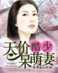 天价酷少呆萌妻